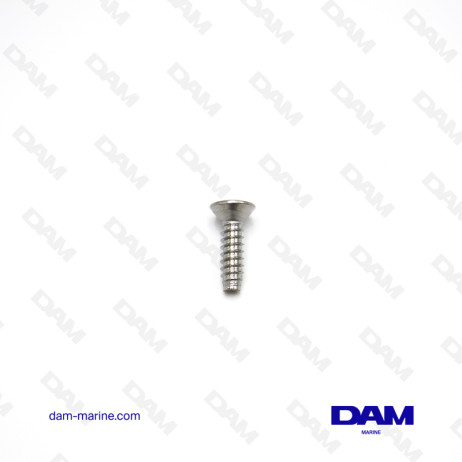 MERCURY SCREWS