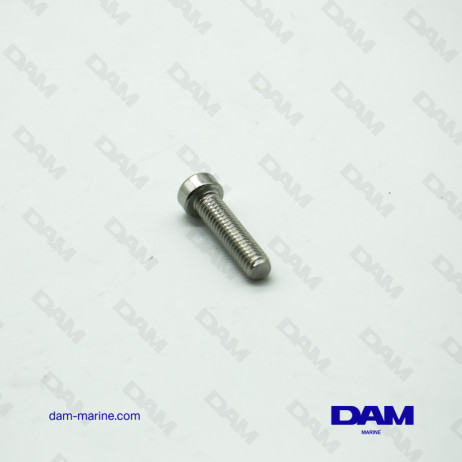 TRIM SENSOR SCREW