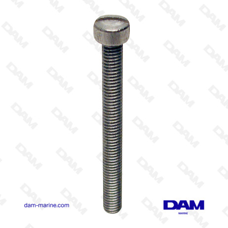 STRAINER SCREWS