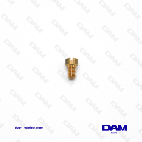 DIESEL PUMP SCREW