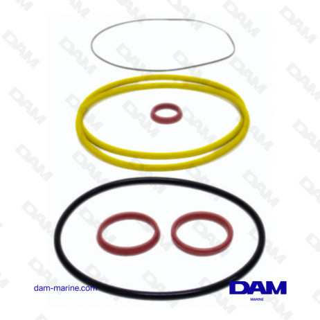 VOLVO SHIRT GASKET KIT - 875550