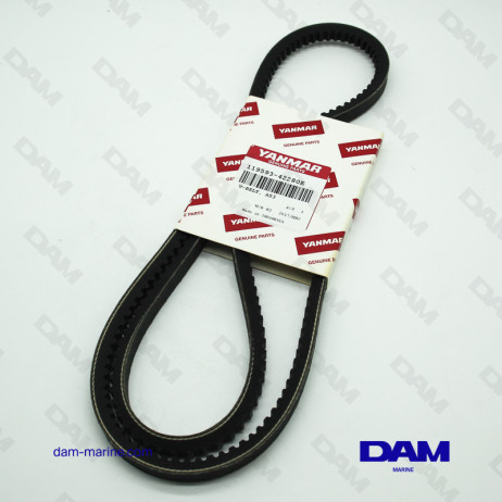 YANMAR 6LYA WATER PUMP BELT