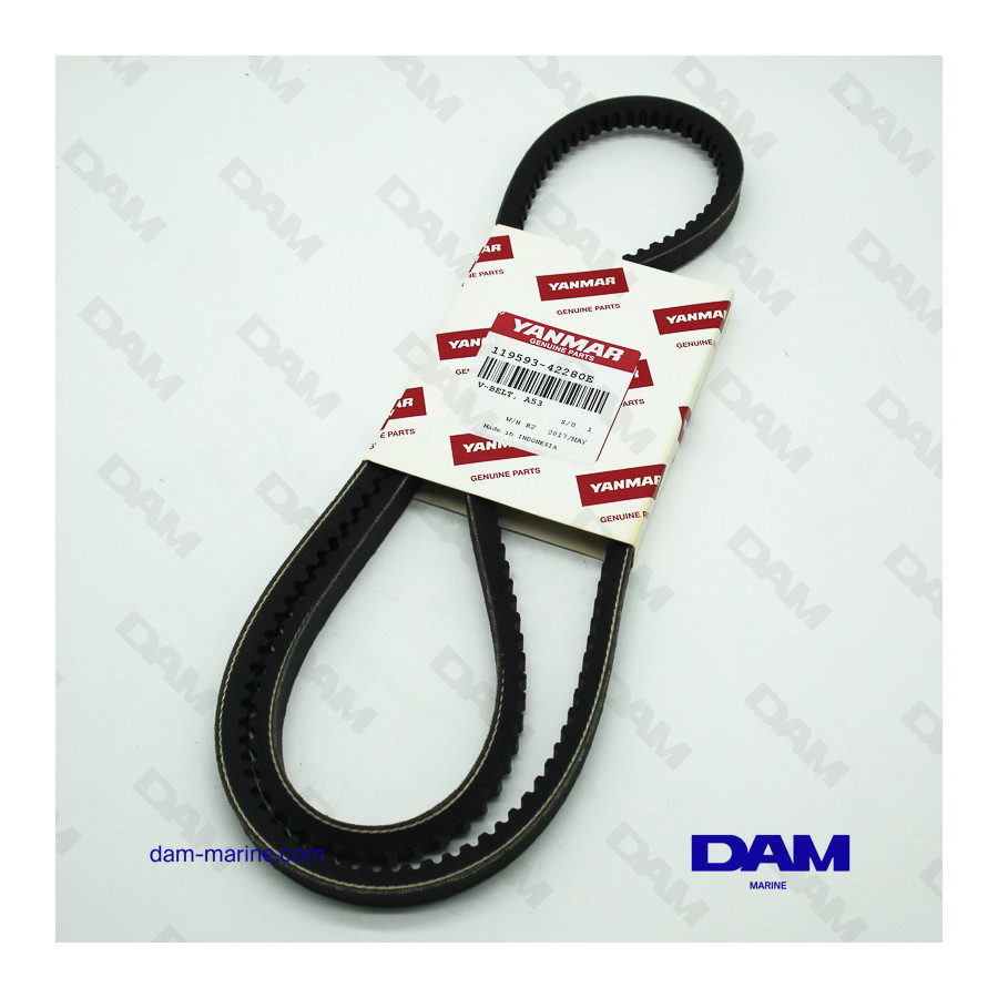 YANMAR 6LYA WATER PUMP BELT