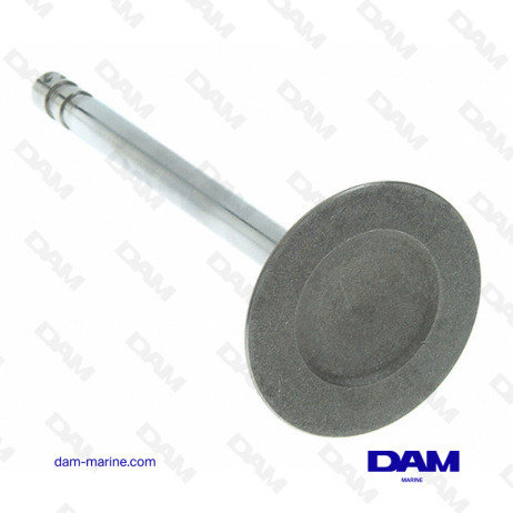 GM INTAKE VALVE