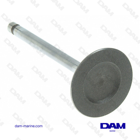 GM V6-GM350 RLI INTAKE VALVE