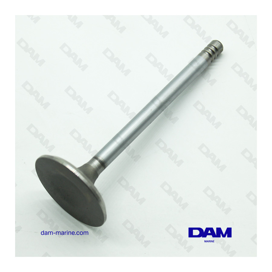 VOLVO INTAKE VALVE - 419734