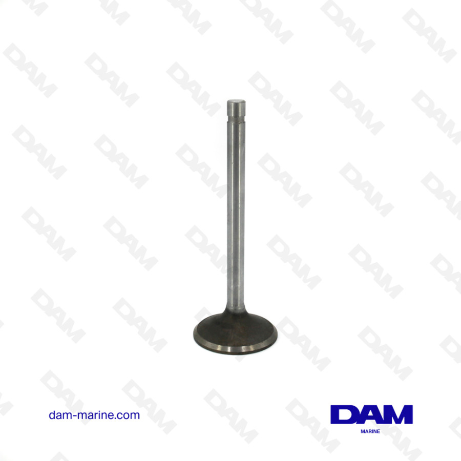 GM231 INTAKE VALVE