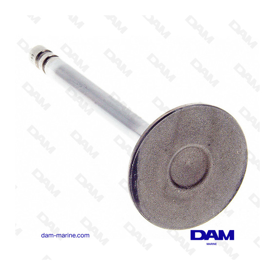 INTAKE VALVE GM229 - GM305