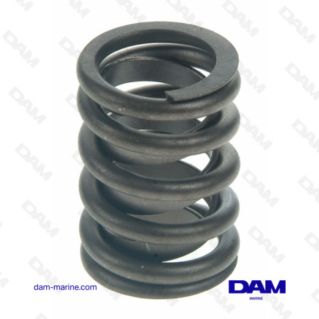 VALVE SPRING GM BB GIV - V