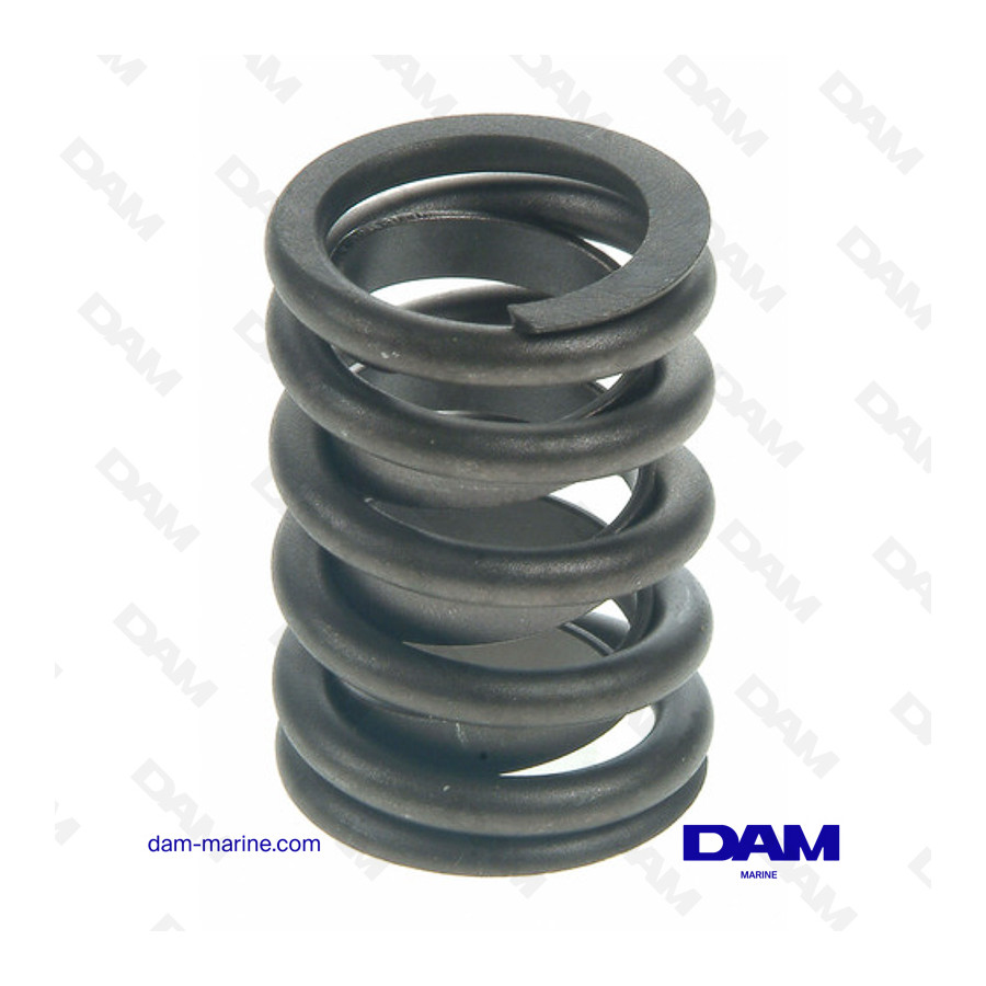 VALVE SPRING GM BB GIV - V