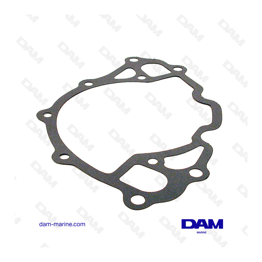 FORD V8 BREATHING PUMP GASKET