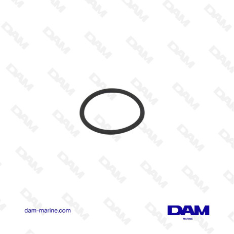 O-RING INJECTOR VOLVO - 20903092