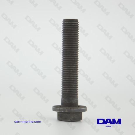 FLYWHEEL BOLT QSD