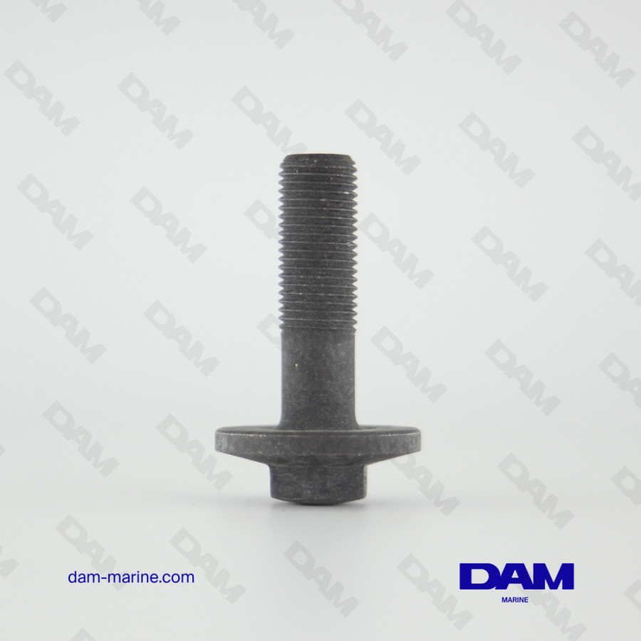 D - CAMSHAFT BOLT M12X40