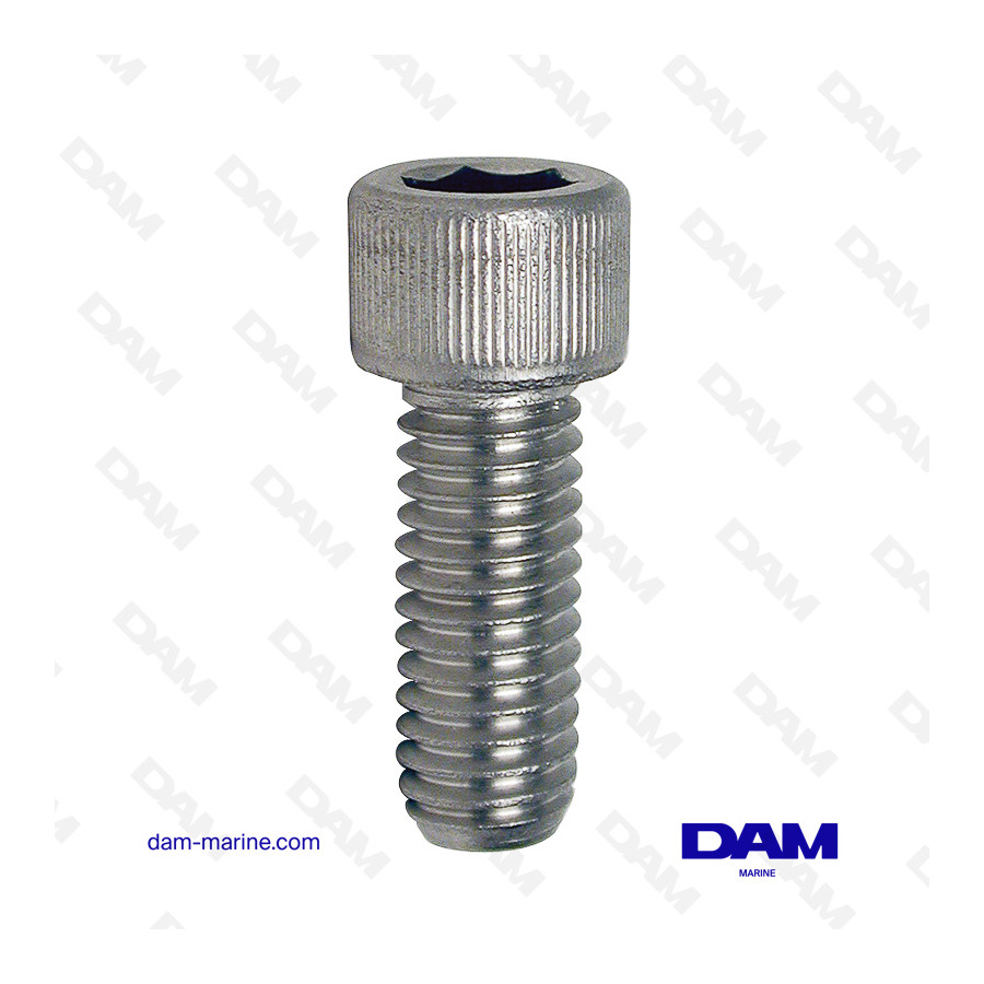 DAMPER BOLT