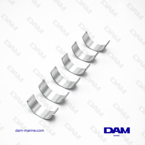 KIT CONNECTING ROD BEARINGS VOLVO 2020 - STD