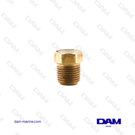 6P 1/8 NPT MALE PLUG