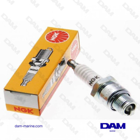 SPARK PLUG NGK BR9ECS