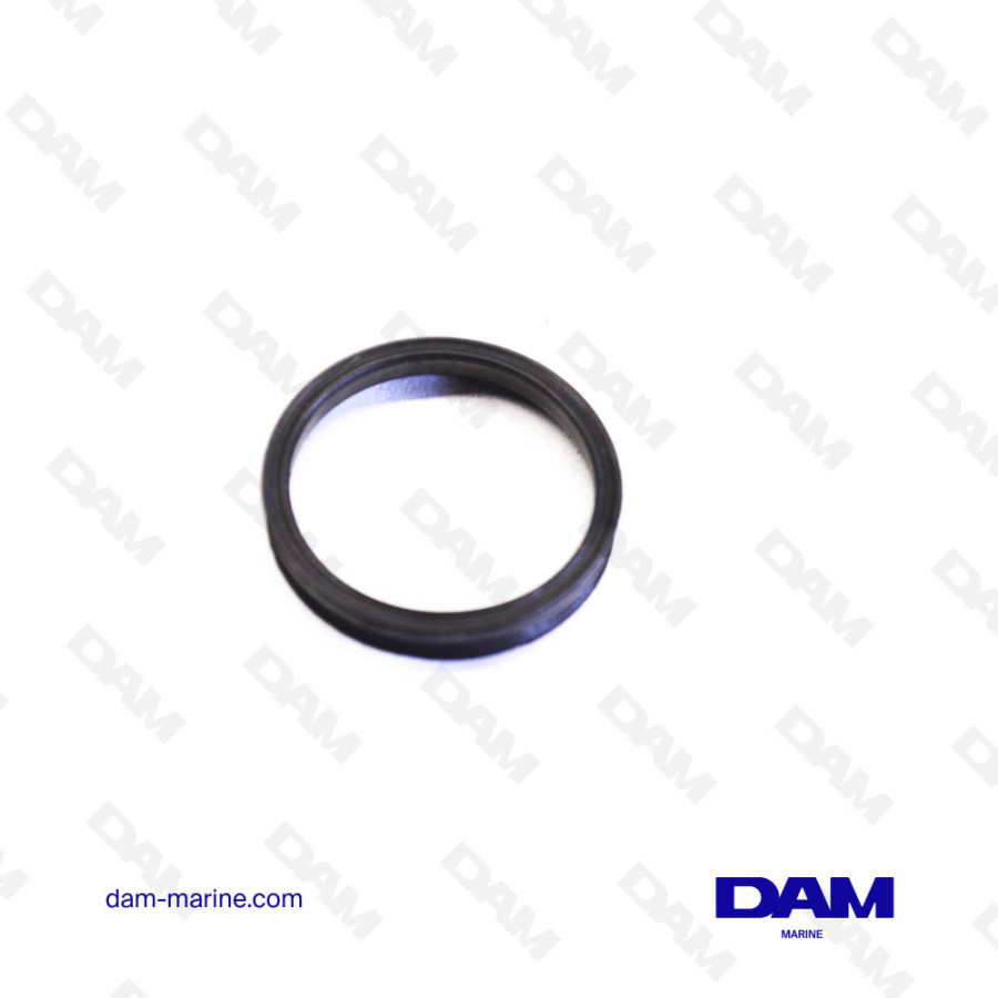 O-RING 16519-93J00