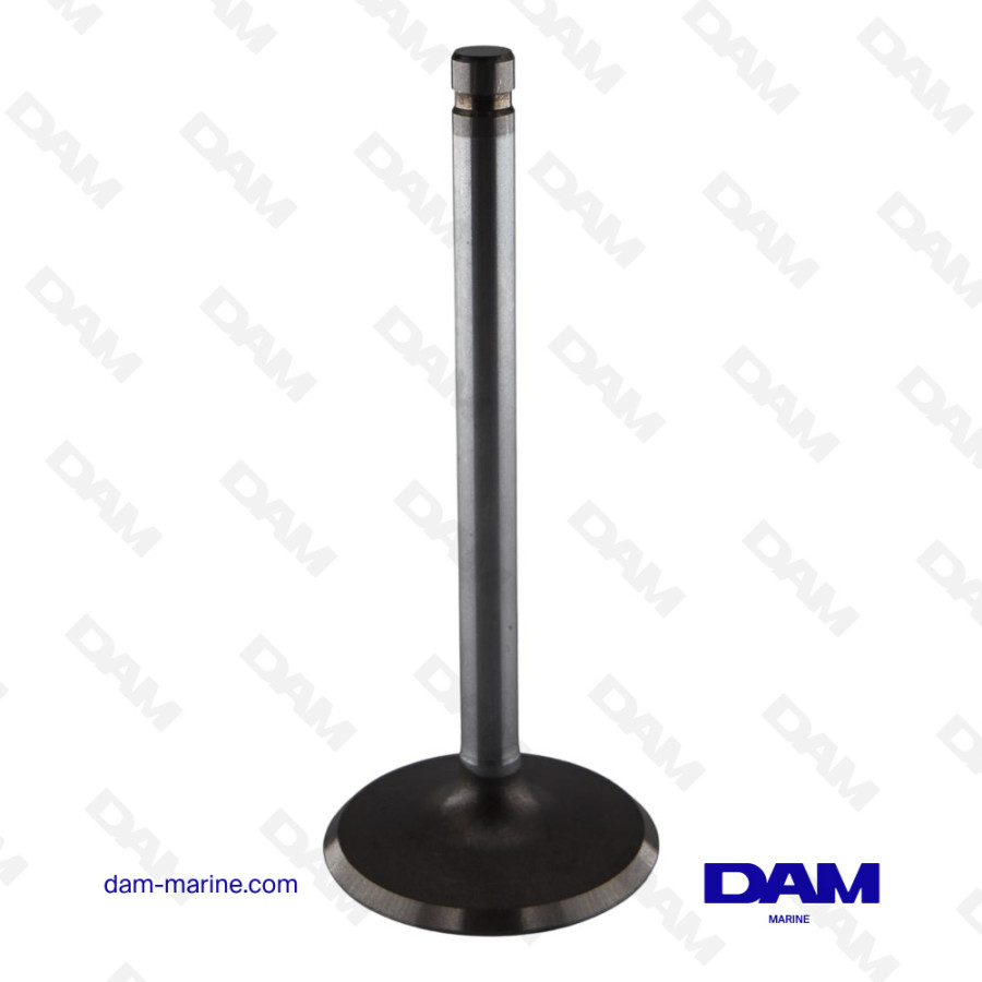 GM496 INTAKE VALVE