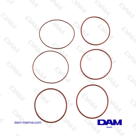 KIT JOINTS POUR POMPE P68511