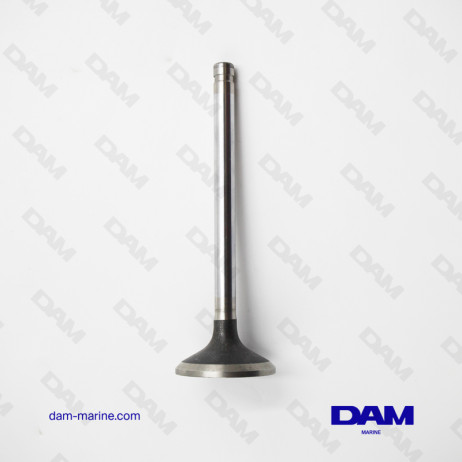 EXHAUST VALVE GM496