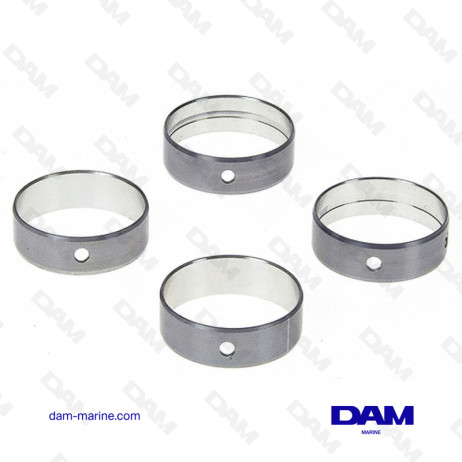 CAMSHAFT BEARINGS SET V6 GM225