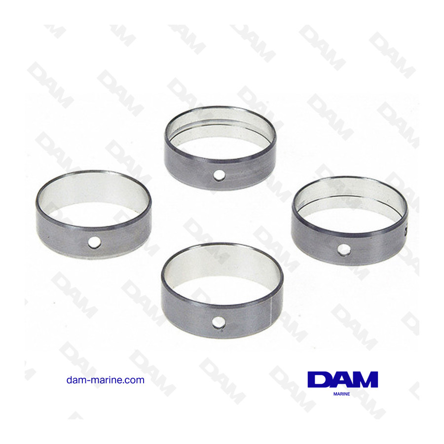 CAMSHAFT BEARINGS SET V6 GM225