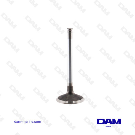 INTAKE VALVE VOLVO 22 - 859650