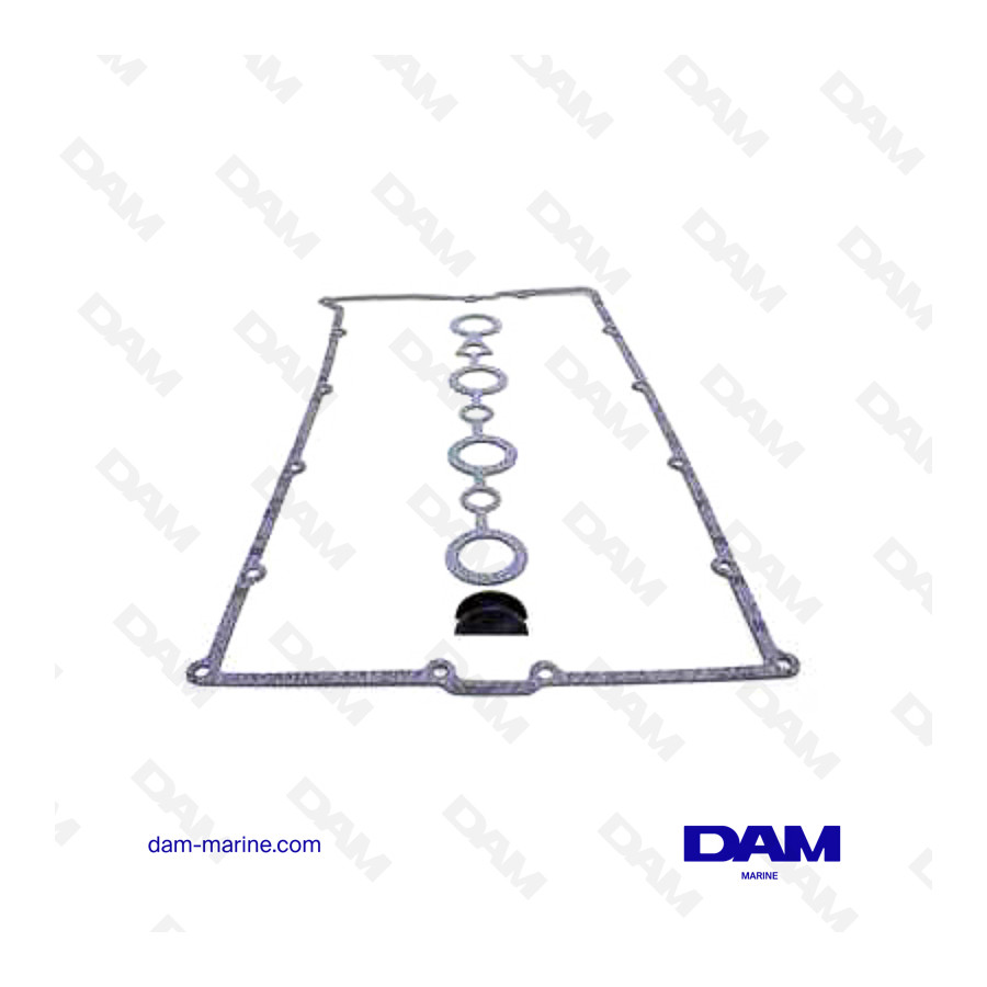 ROCKER COVER GASKET VOLVO AQ171