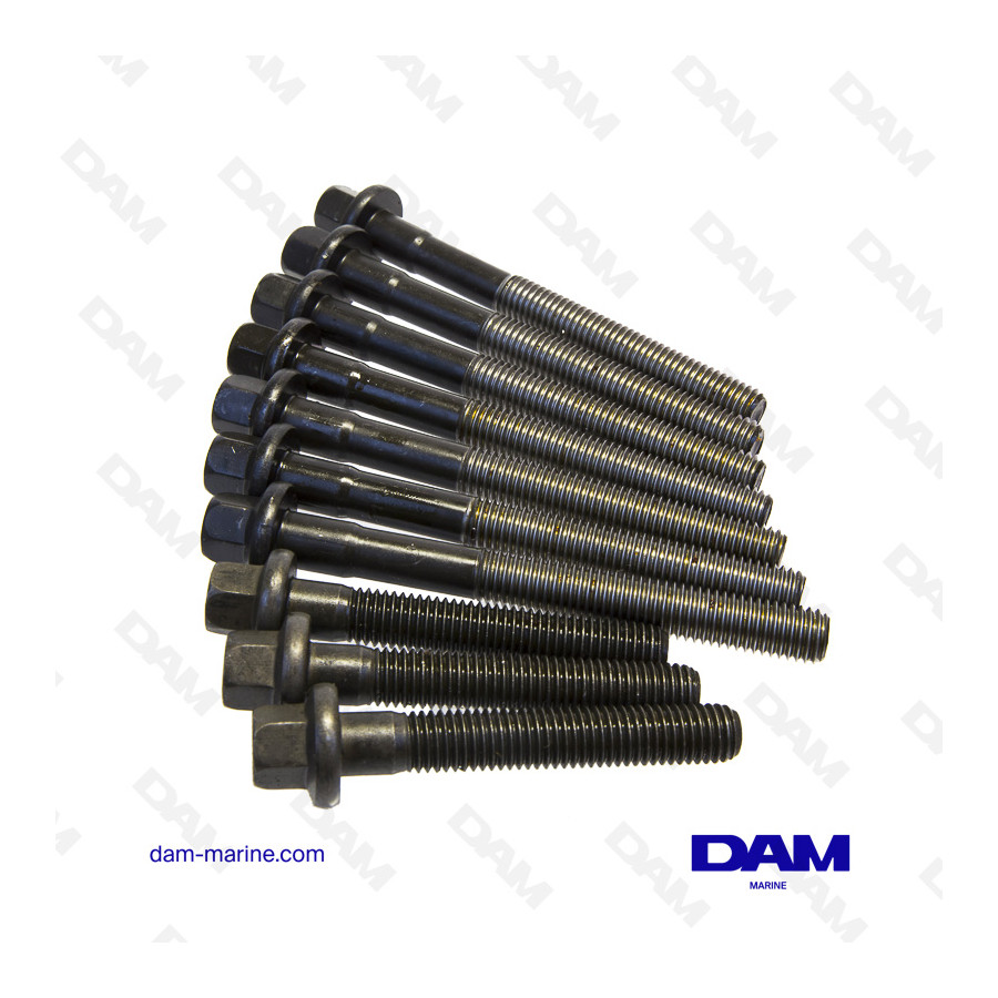 CYLINDER HEAD SCREW KIT VOLVO AQ171