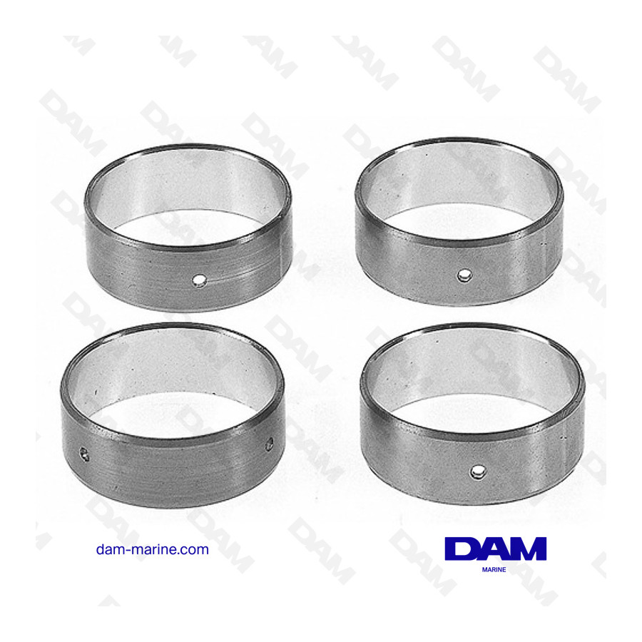 CAMSHAFT BEARINGS SET V6 GM262