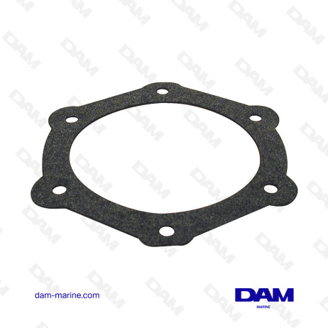 W898 BREATHING PUMP GASKET