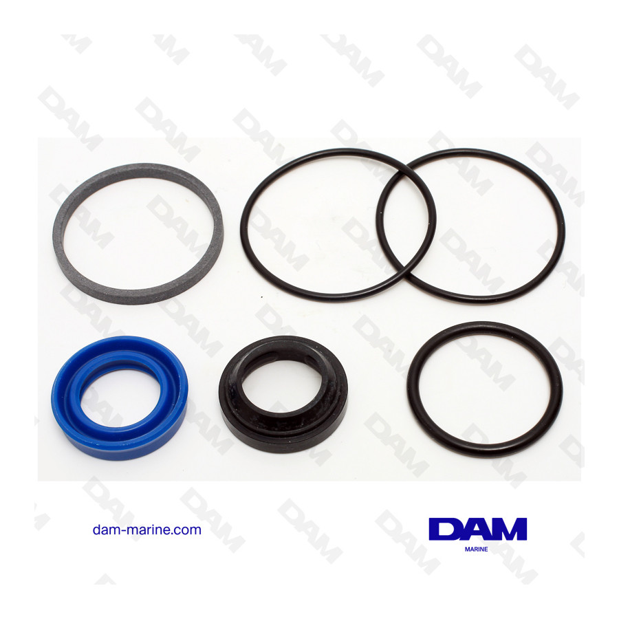 KIT SEALS CYLINDER VOLVO - 853439