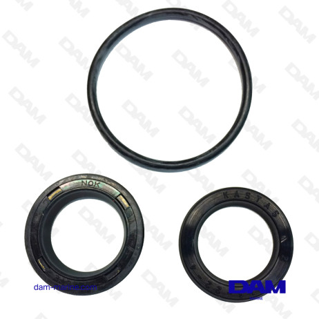 CYLINDER GASKET KIT VOLVO - 3861556