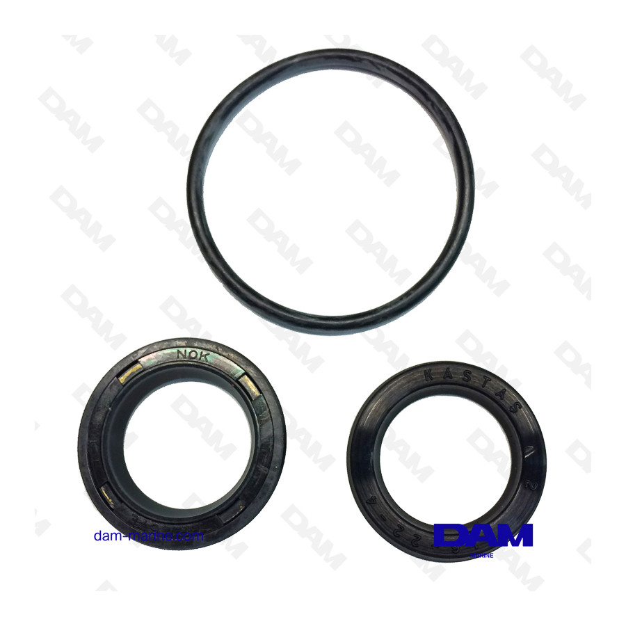 CYLINDER GASKET KIT VOLVO - 3861556