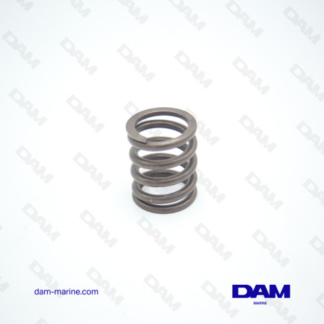 DIESEL VALVE SPRING