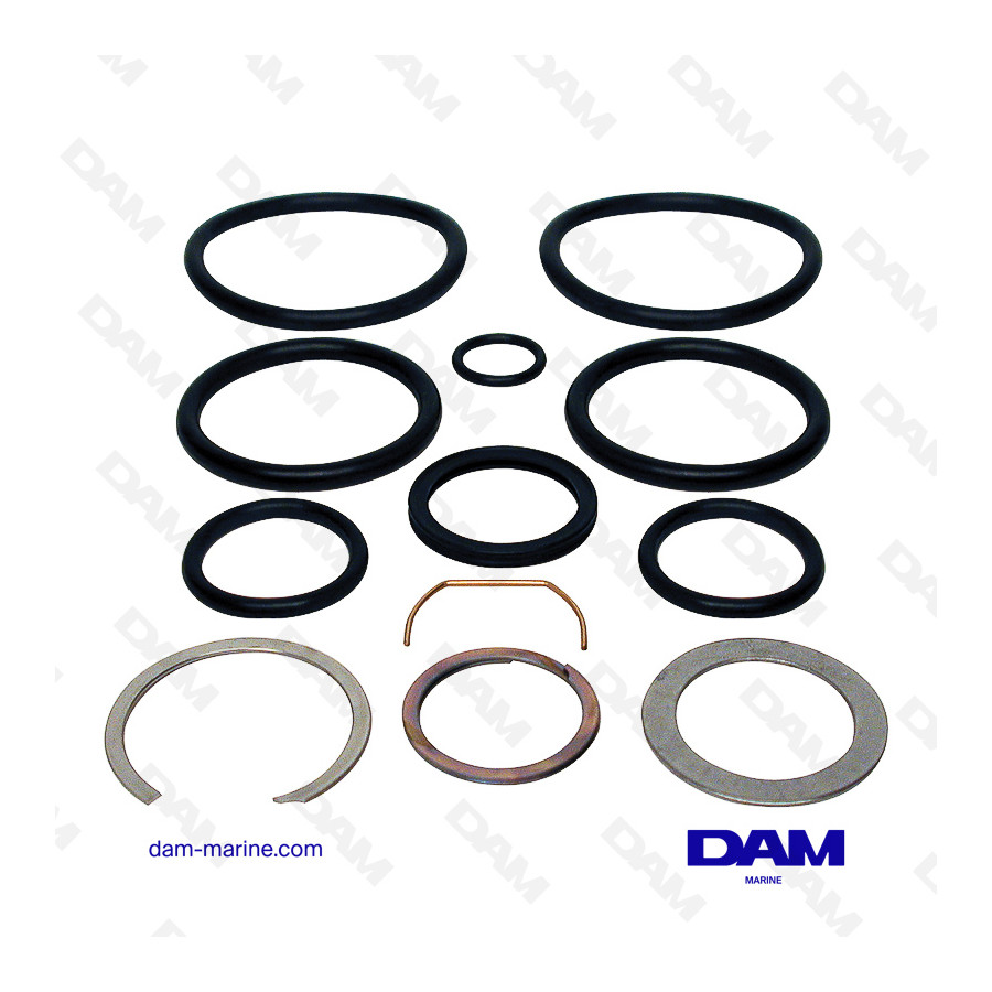 MERCRUISER ALPHA ONE CYLINDER SEAL KIT - BRAVO