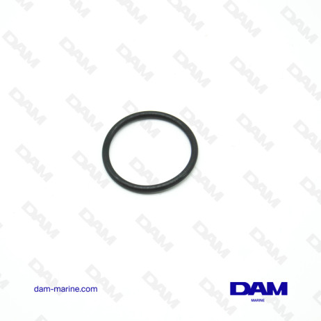 MERCURY THERMOSTAT GASKET