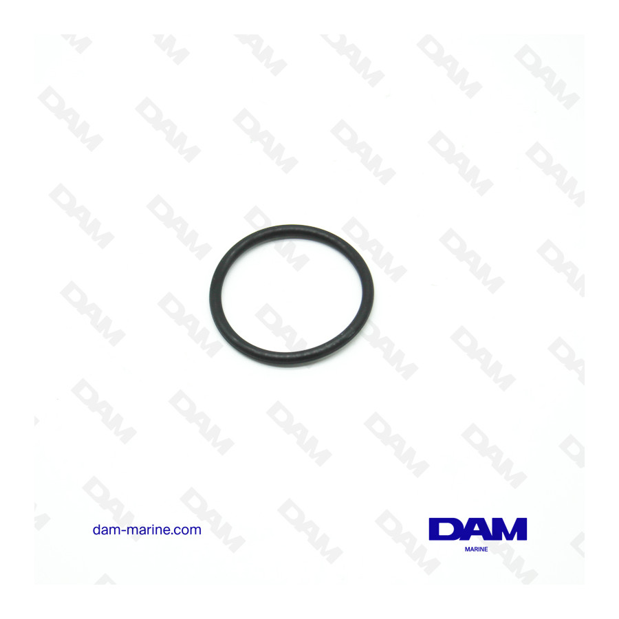 MERCURY THERMOSTAT GASKET