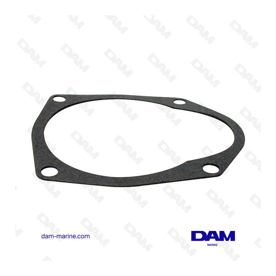 PUMP PLATE GASKET