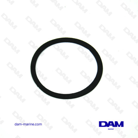 MERCRUISER THERMOSTAT GASKET