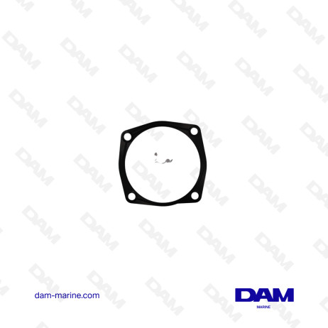 DIESEL PUMP GASKET