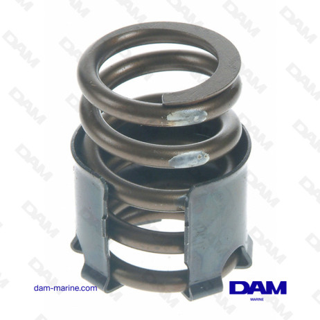 VALVE SPRING GM BB GIV - V