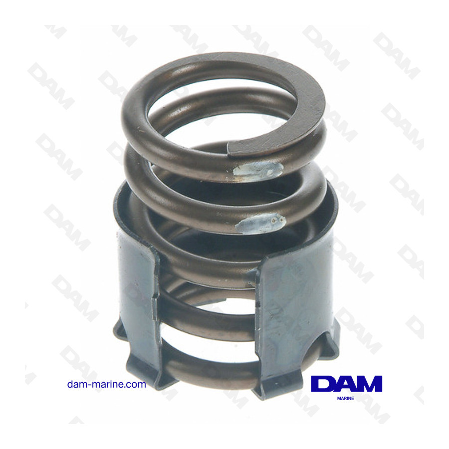 VALVE SPRING GM BB GIV - V