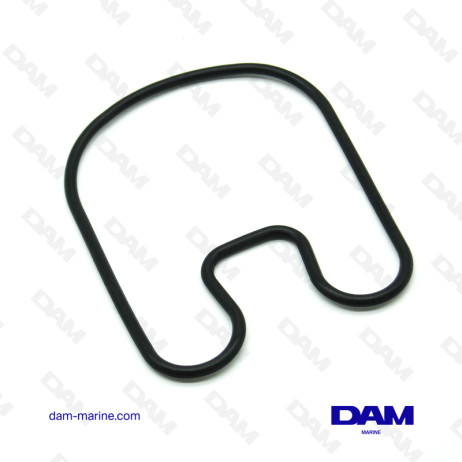 EXHAUST HORN GASKET