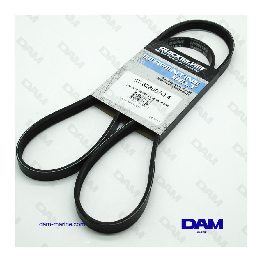 SERPENTINE BELT MERCURY