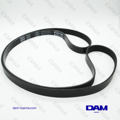 SERPENTINE BELT INDMAR RAPTOR 6.2L