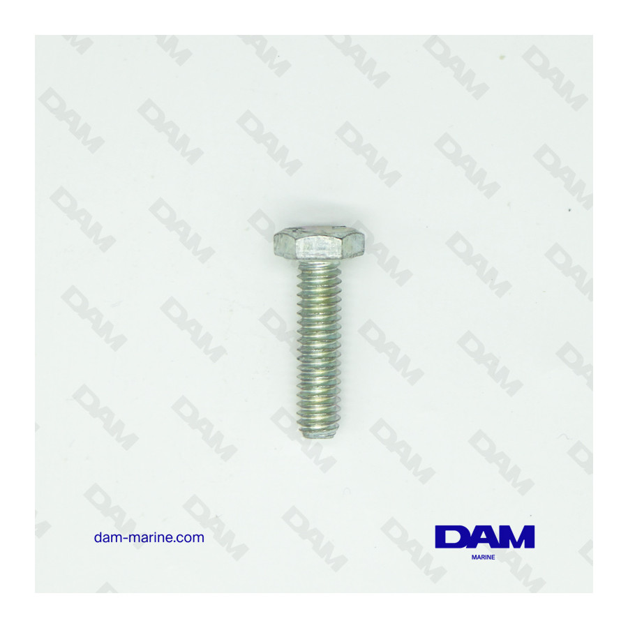 SCREW 1/4-20 X 1