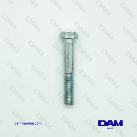 SCREW 5/16-18 X 2